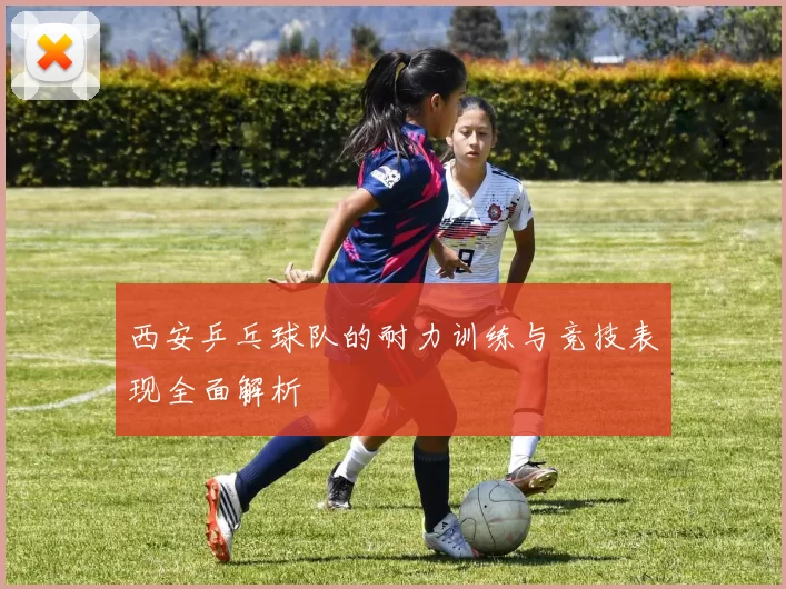 西安乒乓球队的耐力训练与竞技表现全面解析