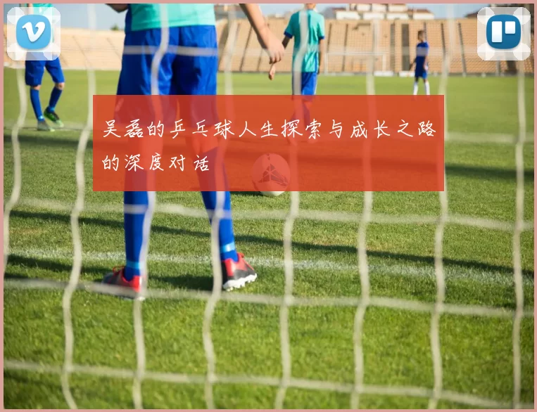 吴磊的乒乓球人生探索与成长之路的深度对话