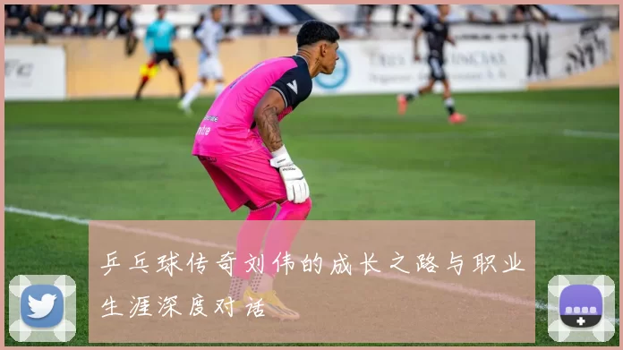 乒乓球传奇刘伟的成长之路与职业生涯深度对话
