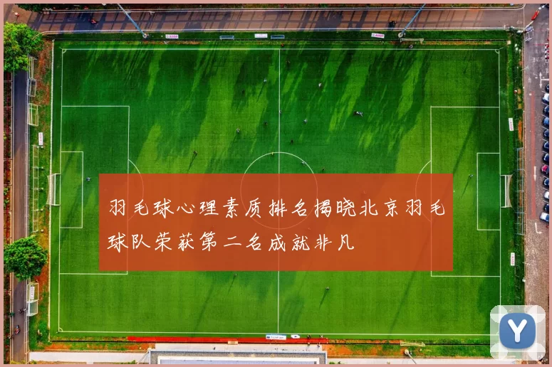 羽毛球心理素质排名揭晓北京羽毛球队荣获第二名成就非凡