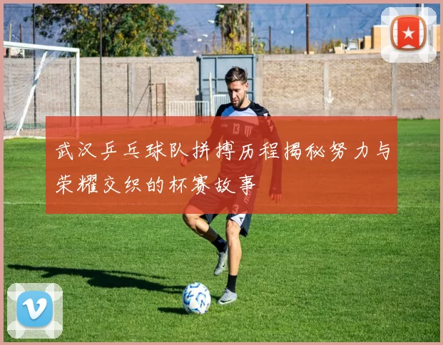 武汉乒乓球队拼搏历程揭秘努力与荣耀交织的杯赛故事