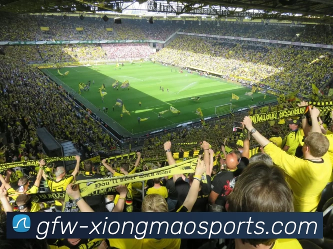 App Interface Preview